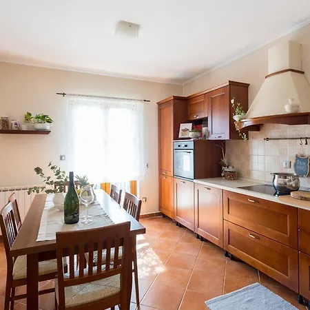 Apartment Pata Zupa Dubrovacka